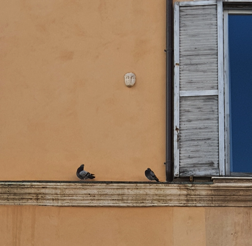 testa incastonata nel muro a piazza navona