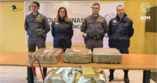 Pesce per nascondere la cocaina, sequestrati in porto 260 kg di droga